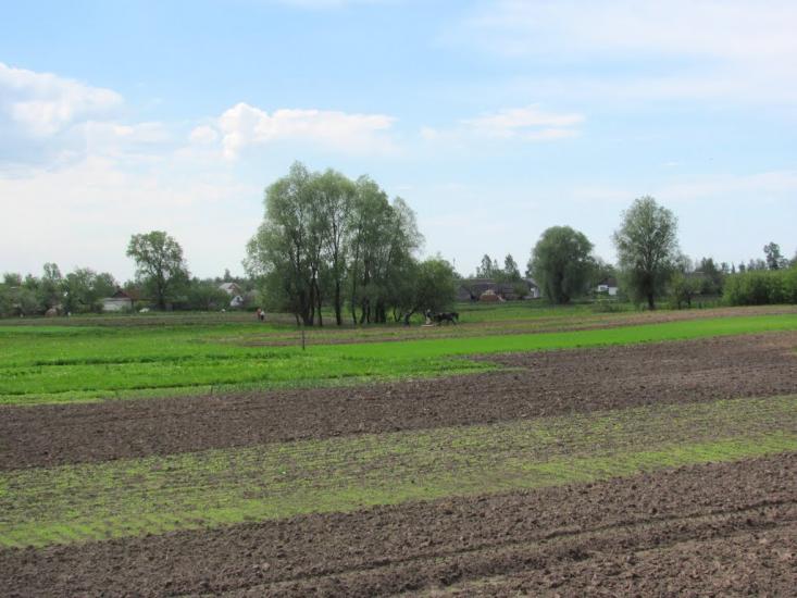 Сарни з panoramio.com - Сарни