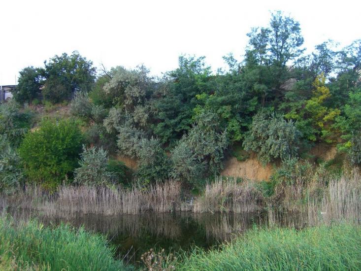Жовтневе з panoramio.com - Жовтневе