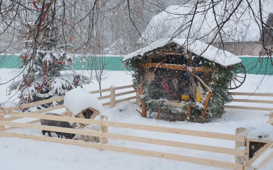 Берегомет з panoramio.com - Берегомет