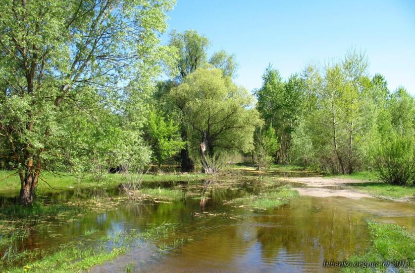 Остер з panoramio.com - Остер