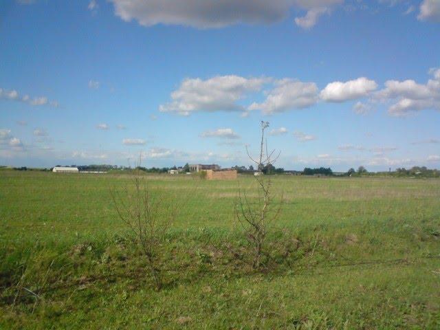 Привільне з panoramio.com - Привільне