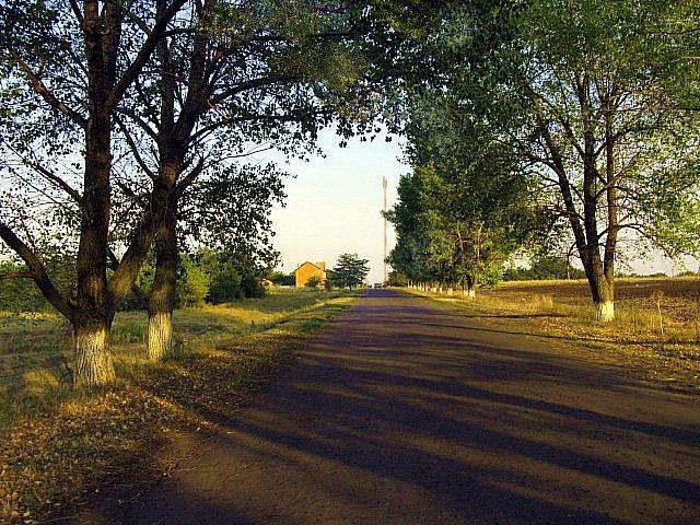 Катеринка з panoramio.com - Катеринка