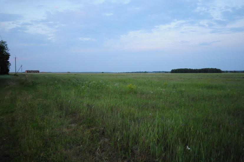 Корюківка з panoramio.com - Корюковка
