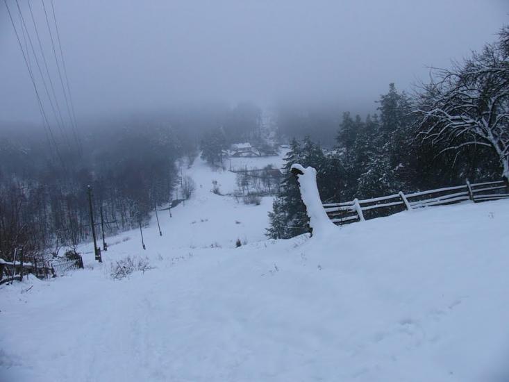 Карпи з panoramio.com - Карпы