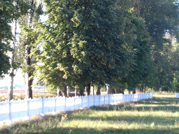 Великі Крушлинці з panoramio.com - Великі Крушлинці
