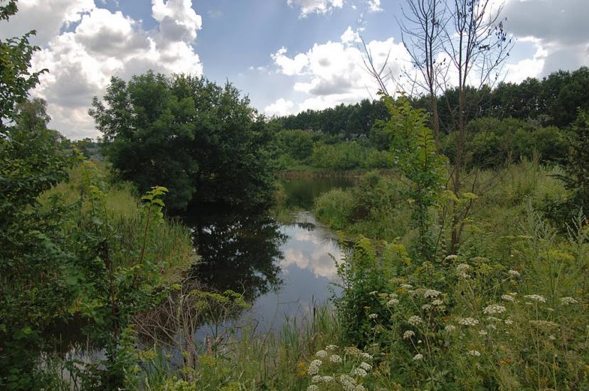 Іскра з panoramio.com - Искра