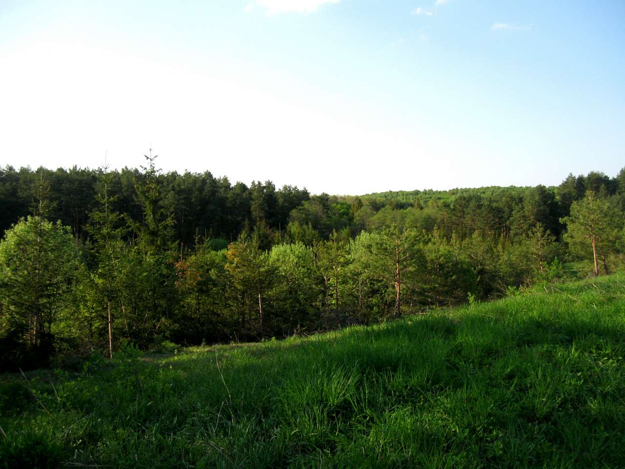 наш - Теслугів