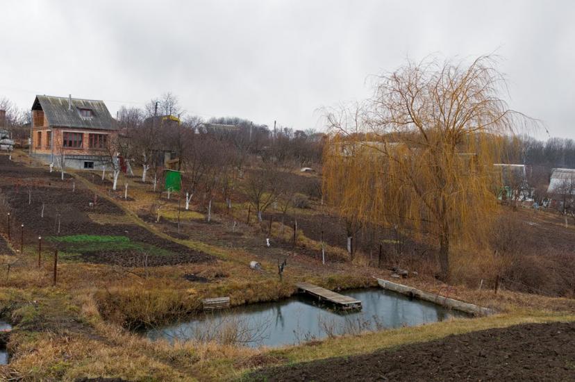 Ружичанка з panoramio.com - Ружичанка