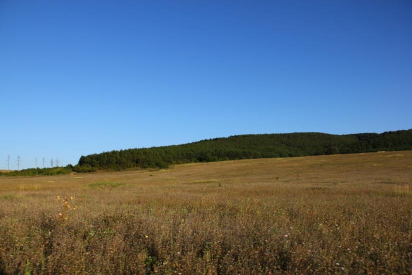 Строгонівка з panoramio.com - Строгонівка