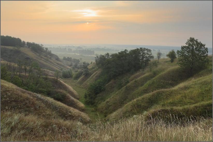 Задонецьке з panoramio.com - Zadonetske
