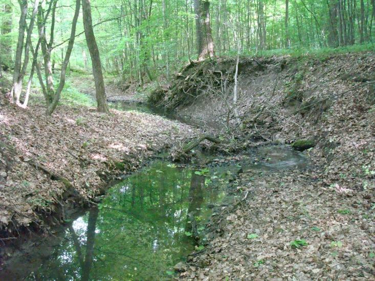 Ставчани з panoramio.com - Ставчаны