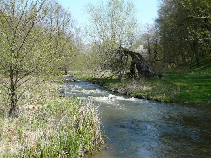 Вербка з panoramio.com - Вербка