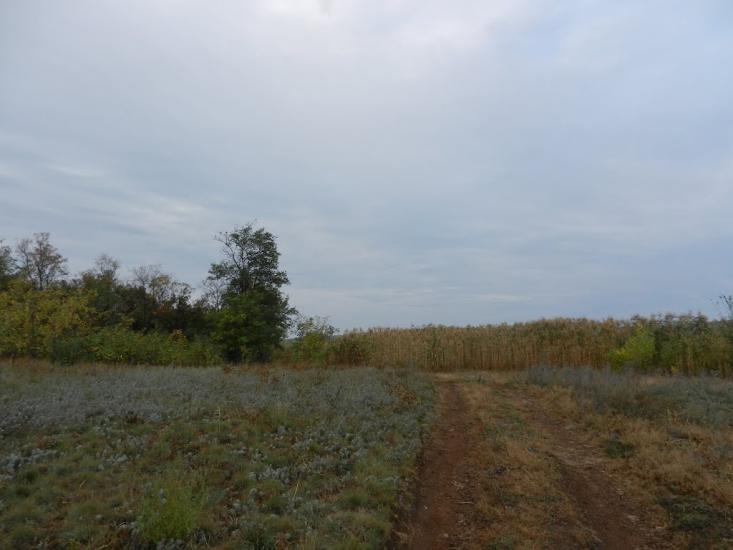 Старий Крим з panoramio.com