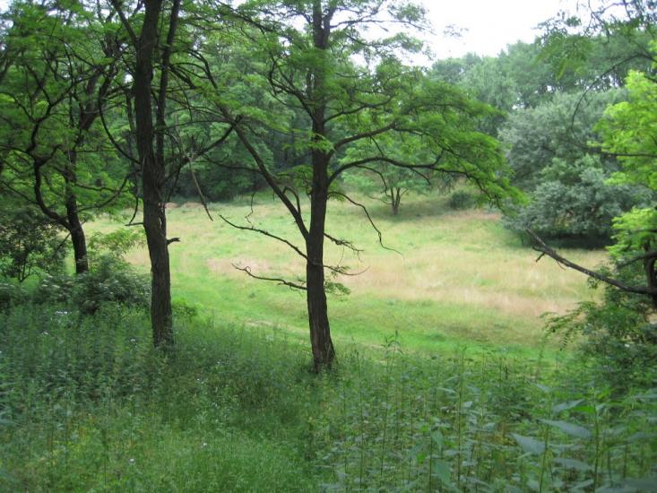 Старосілля з panoramio.com - Старосілля