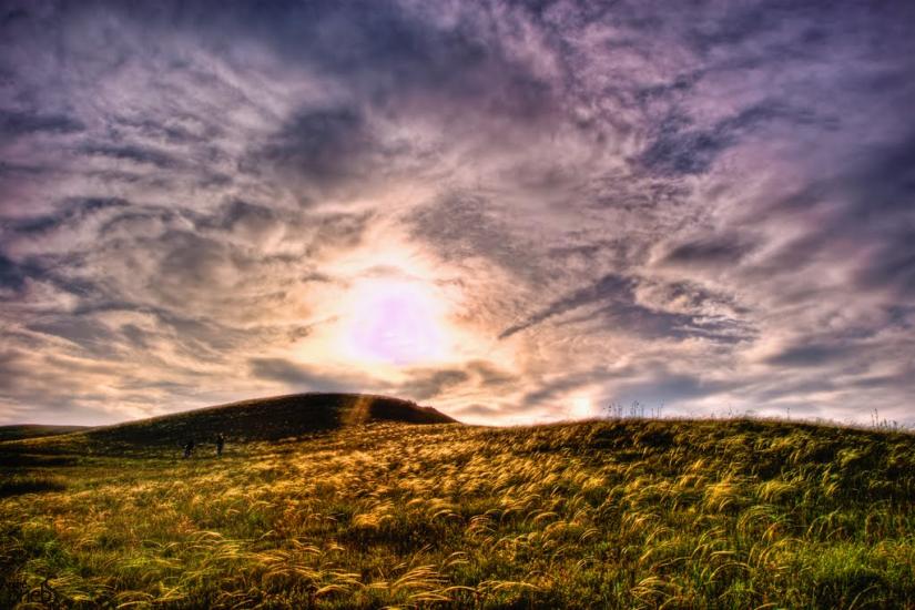 Войкове з panoramio.com - Войкове