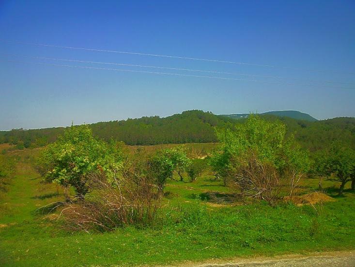 Аромат з panoramio.com - Аромат