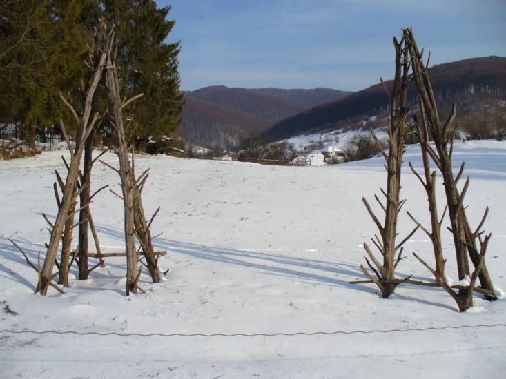 Поляна з panoramio.com - Поляна
