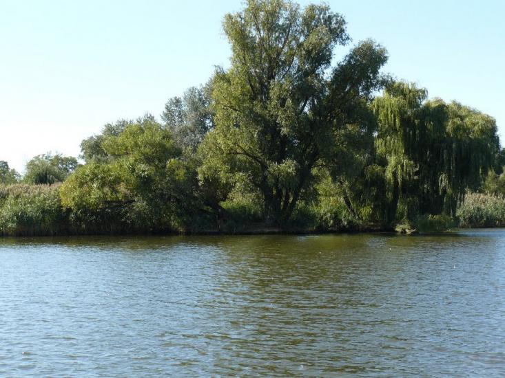 Градизьк з panoramio.com - Градижск