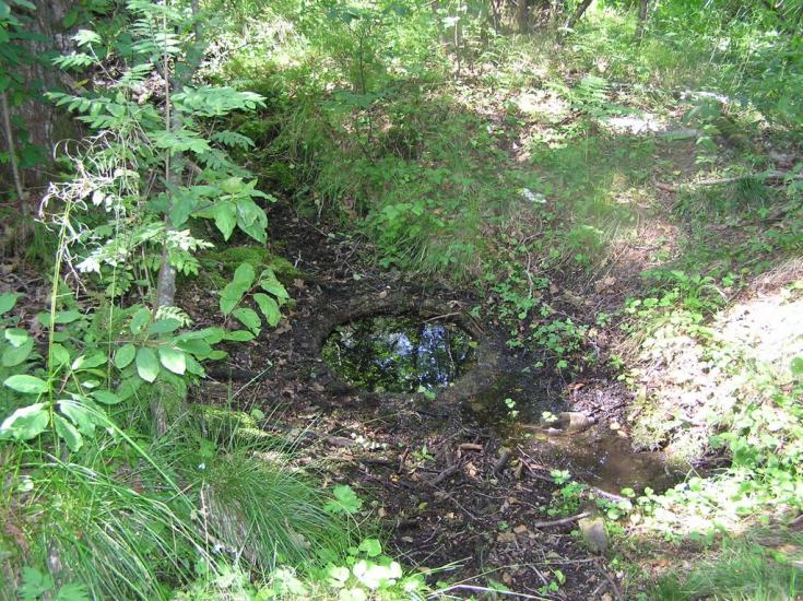 Горщик з panoramio.com - Горщик