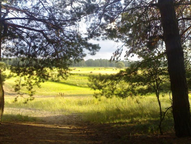 Шестовиця з panoramio.com - Шестовица