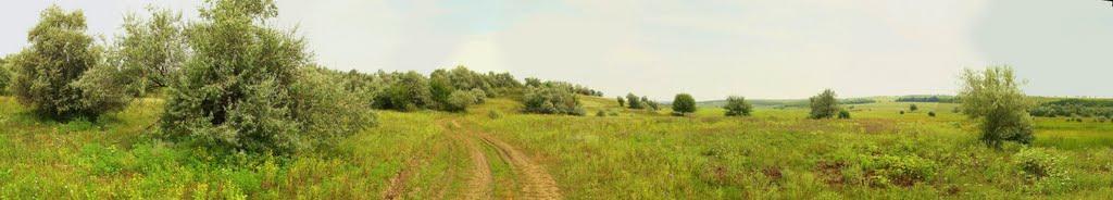 Доманівка з panoramio.com - Доманевка