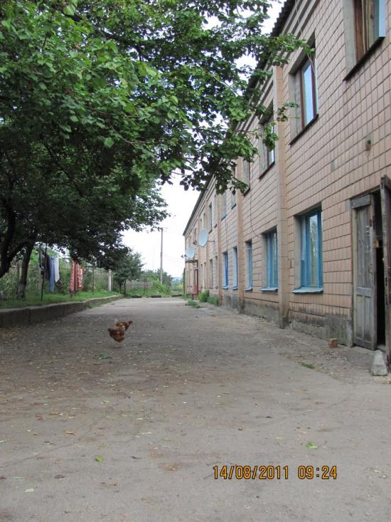 Вільшанка з panoramio.com - Вільшанка