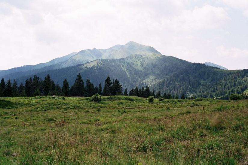 Видричка з panoramio.com - Видричка