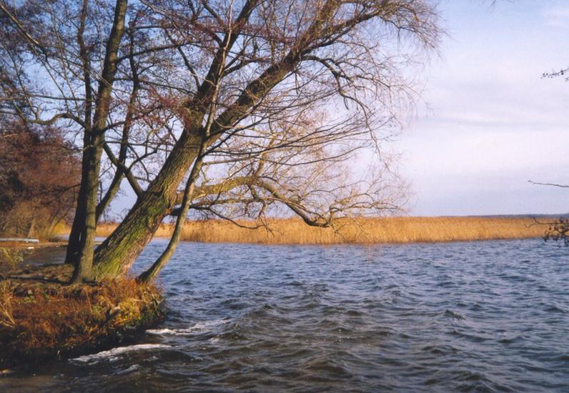 Шацьк з panoramio.com - Шацк