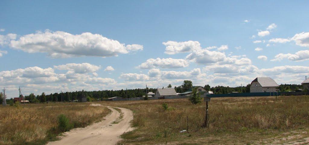 Ровжі з panoramio.com - Ровжи