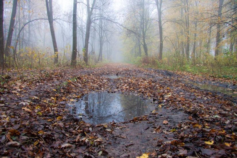 Бахмач з panoramio.com - Bakhmach