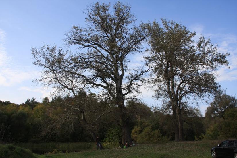 Курган з panoramio.com - Kurgan