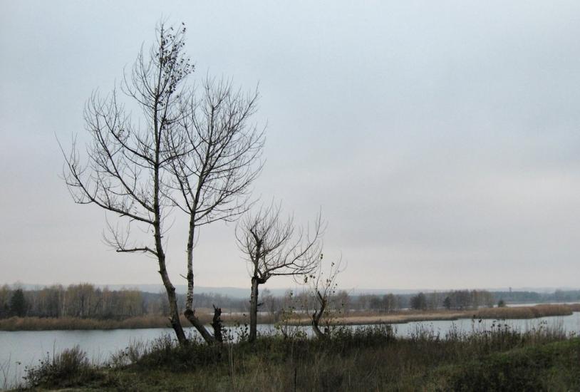 Іллічівка з panoramio.com - Ильичовка