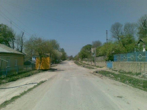 Козівка з panoramio.com - Козовка