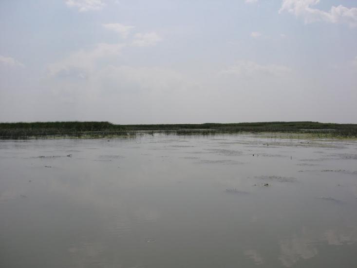 Приморське з panoramio.com - Prymorske