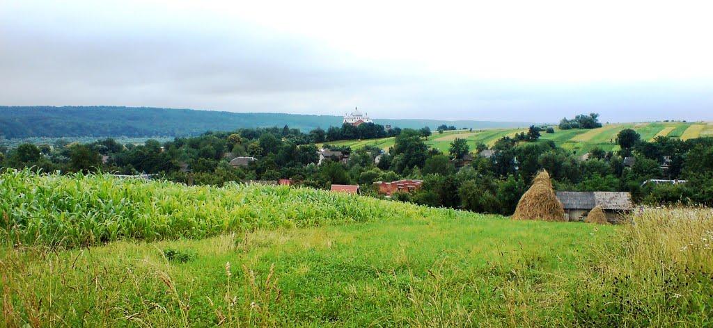 Перевозець з panoramio.com - Перевозець