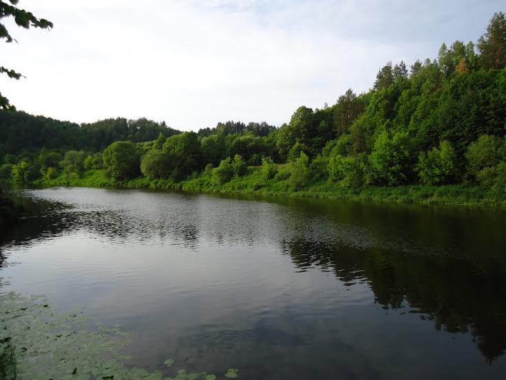 Маринин з panoramio.com - Маринин