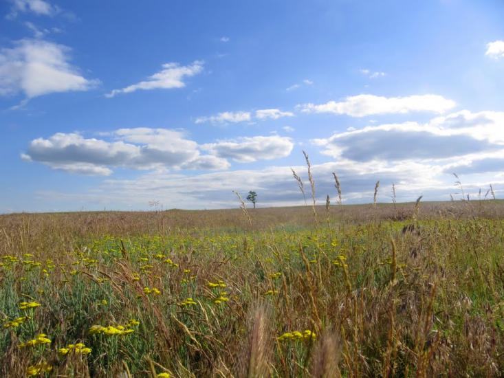 Садове з panoramio.com - Садове