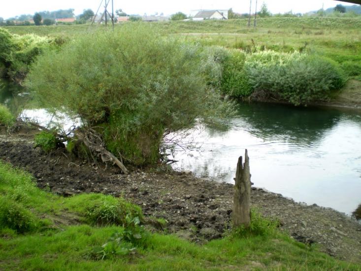 Хлопчиці з panoramio.com - Хлопчицы
