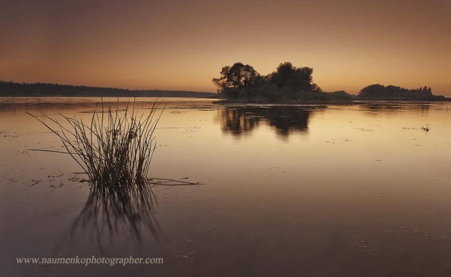 Сокирна з panoramio.com - Сокирна