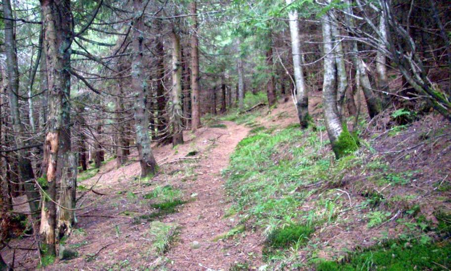 Нижня Рожанка з panoramio.com - Нижняя Рожанка
