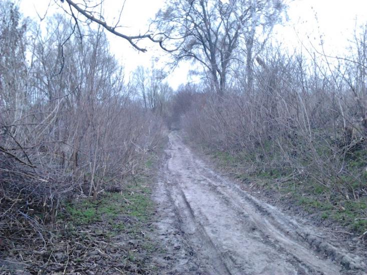 Рогачі з panoramio.com - Рогачі