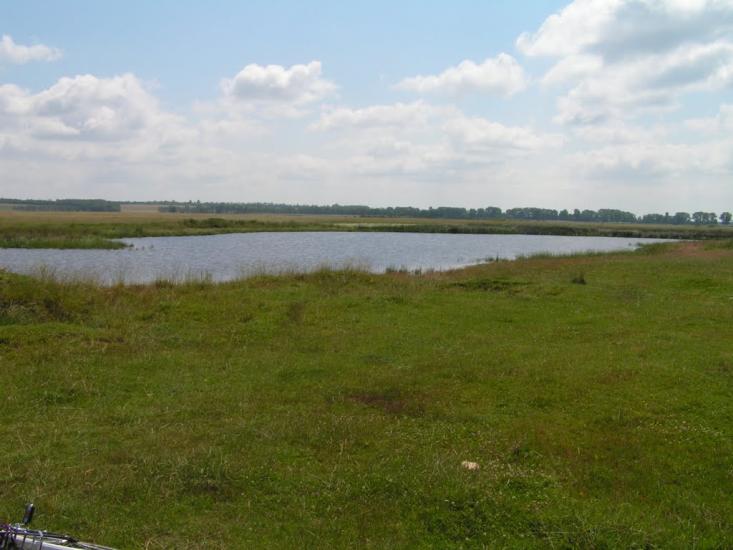 Харківці з panoramio.com - Харківці