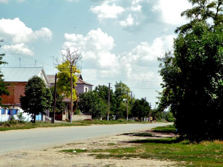 Широколанівка з panoramio.com - Широколановка