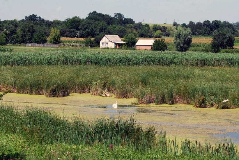 Деньги з panoramio.com - Деньги