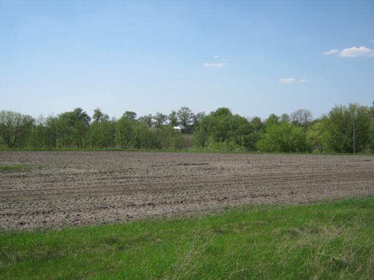 Коновалове з panoramio.com - Коновалово