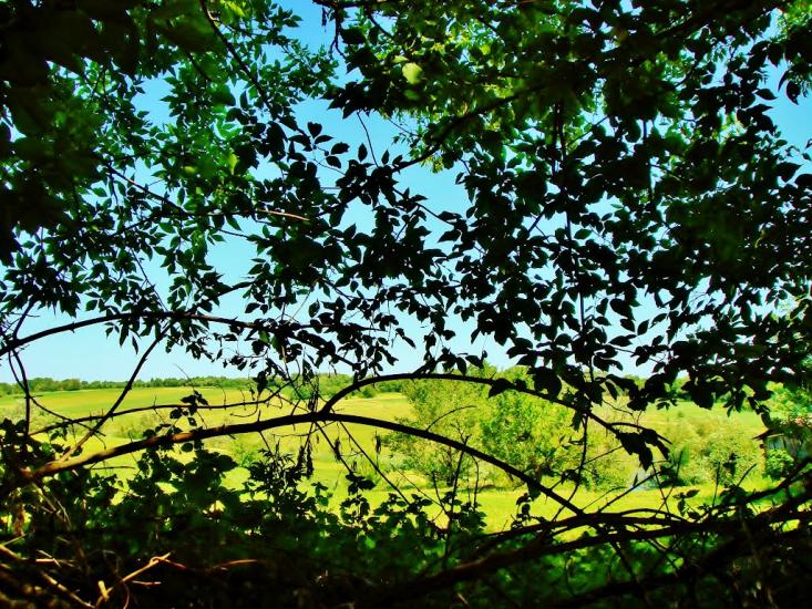 Козацьке з panoramio.com - Казацкое
