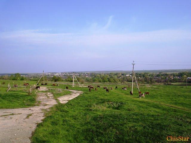 Новокраснянка з panoramio.com - Новокраснянка