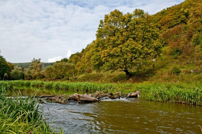 Гуменці з panoramio.com - Гуменцы