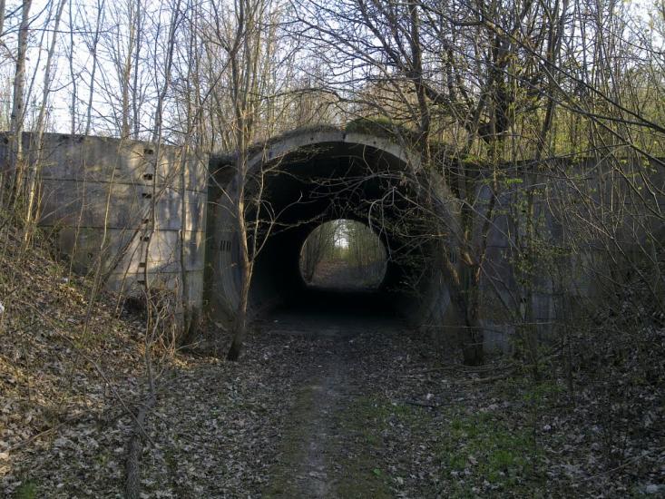 Давидківці з panoramio.com - Давыдковцы