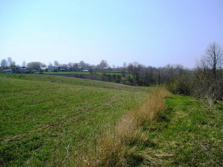 Луциківка з panoramio.com - Луциківка